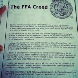 Ffa creed questions with answers