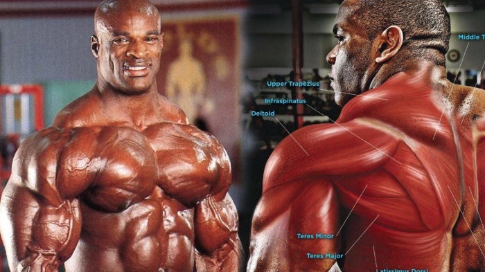 Traps exercises bigger big building pros workout fitnessvolt