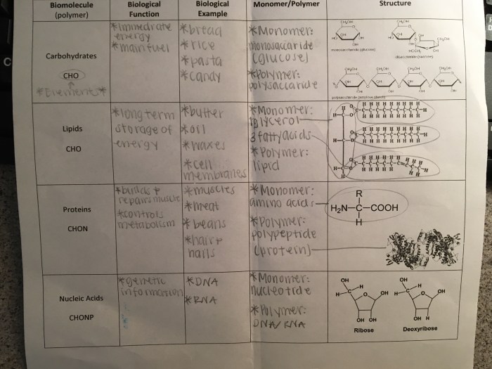 Amoeba sisters speciation answer key