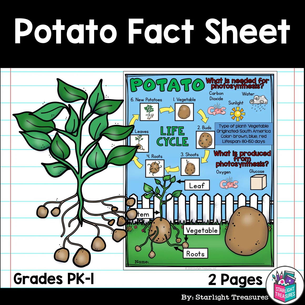 Potato trivia questions and answers