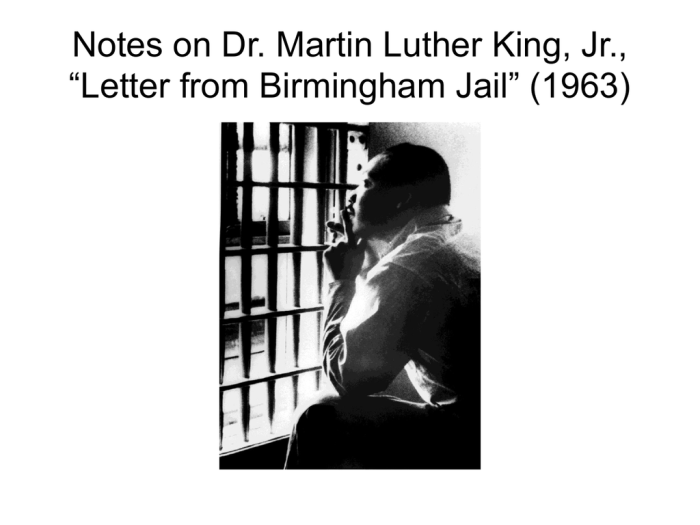 Discussion questions letter from birmingham jail