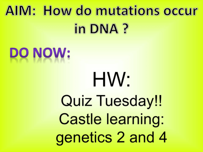 Mutation point mutations genome dna genetics human illustration diagram research replication national primer rna part polymorphisms lab codon institute its