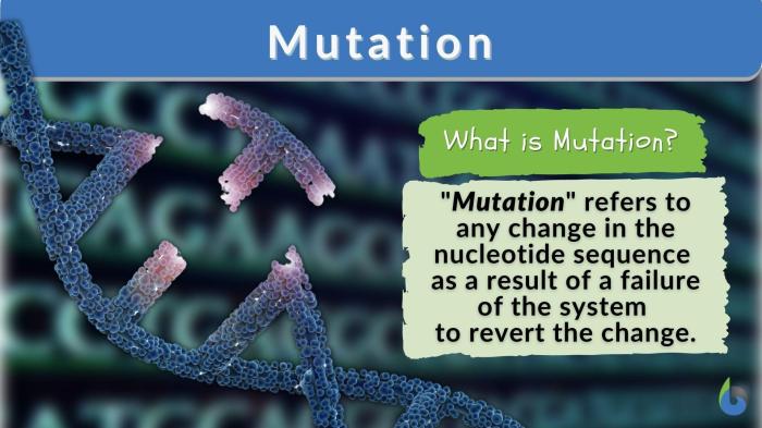 Mutations match the words with their definition